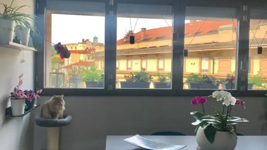Rõdu - Restored Apartment with Historic View in Ivrea
