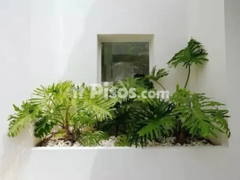 Giardino - Luxury Villa with Pool in Guadalmina Baja