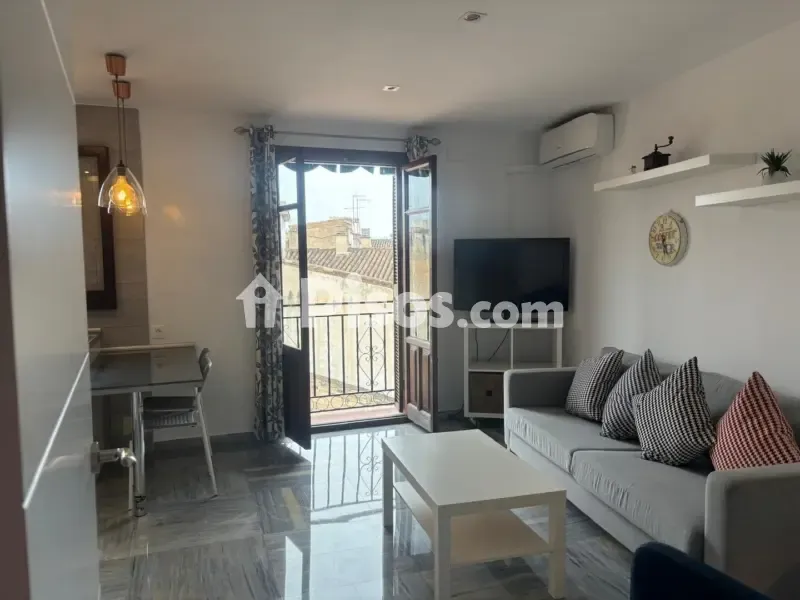 Séjour - Furnished Apartment with Balcony in Granada Centre