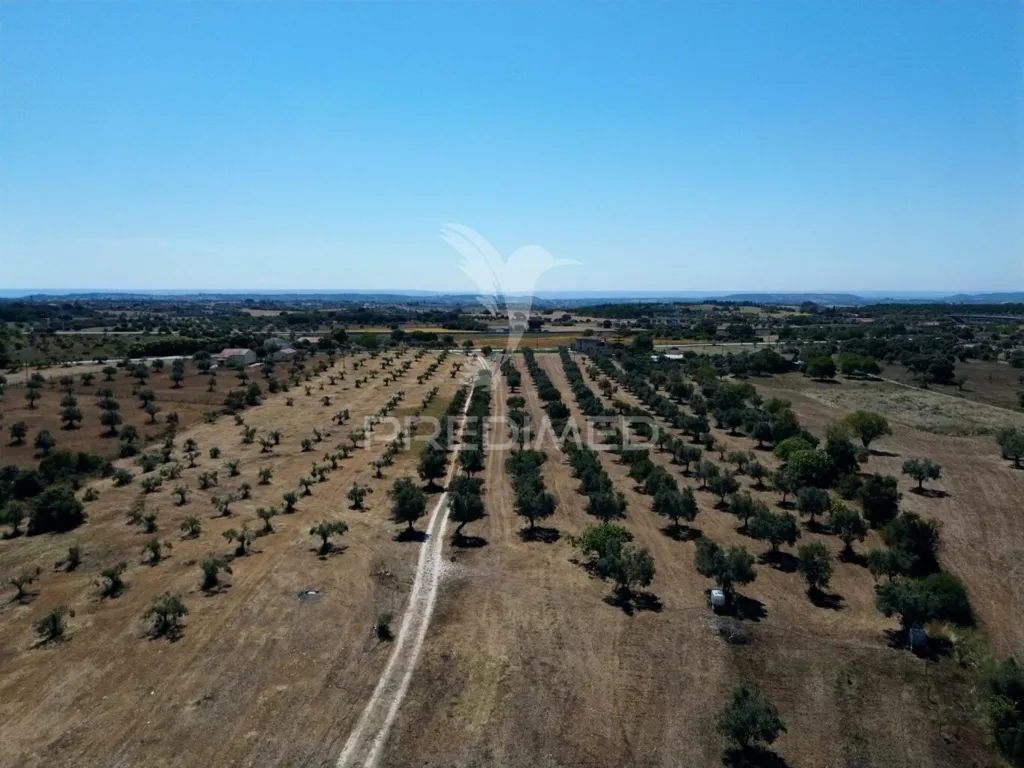 Vue aérienne - Rural Quinta with Olive Grove in Vaqueiros