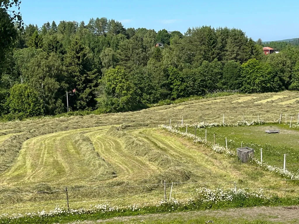 Garden - Well-Maintained Farmhouse with Stables in Västernorrland