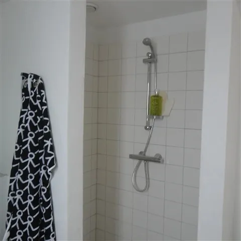 Vannitoad - Student Apartment on Simonivej, Pandrup