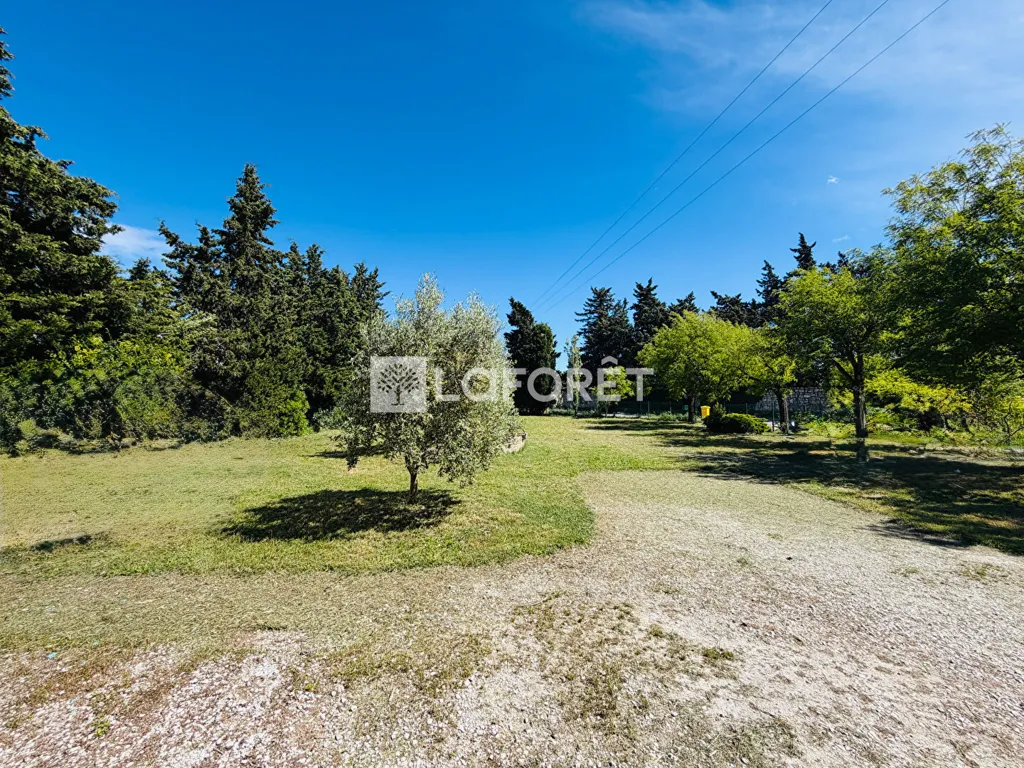 Garden - Contemporary Villa with Terrace in Velleron