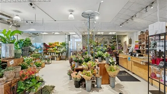 Stanze - Retail Shop with High Exposure in Allerød