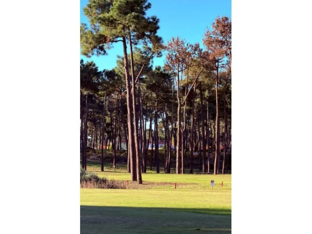 Jardin - Luxury Villa with Pool in Aroeira, Almada