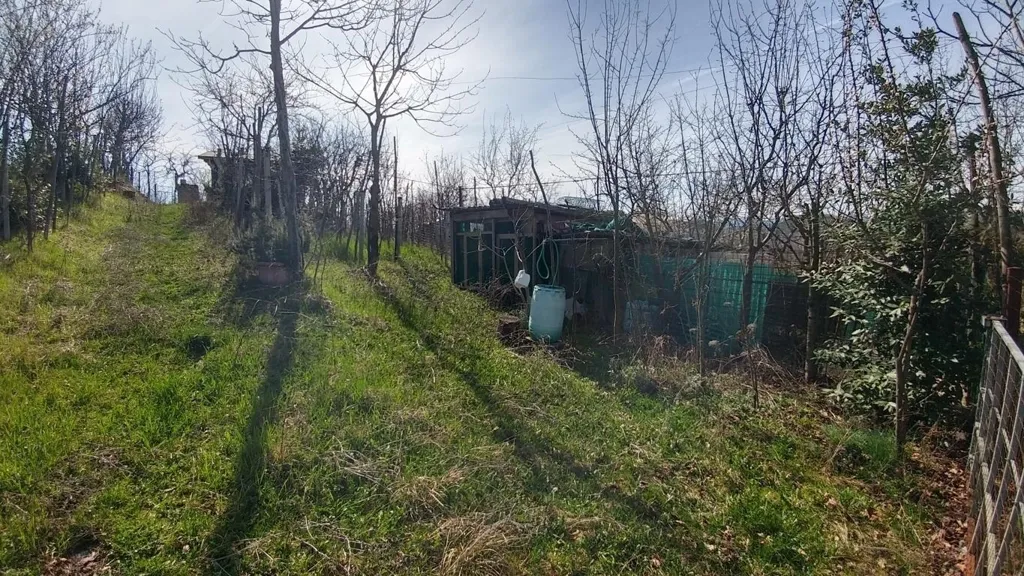 Jardin - Apartment with Private Garden in Zocca