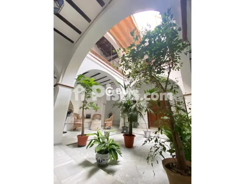 Garten - Señorial Patio House in Lebrija