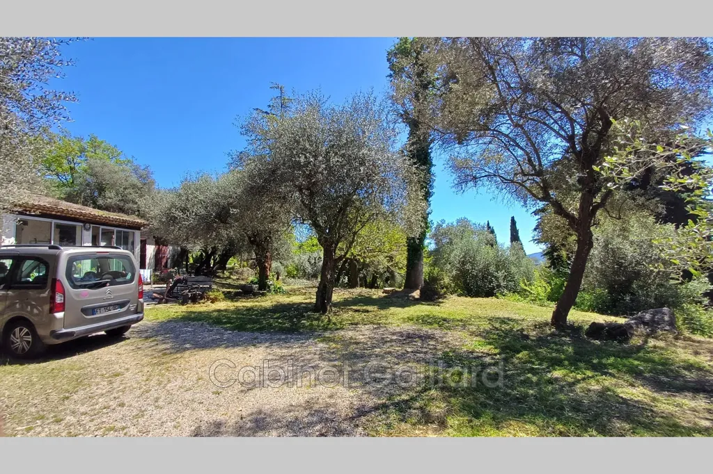 Extérieur - Maison Traditionnelle avec Oliviers à Cabris