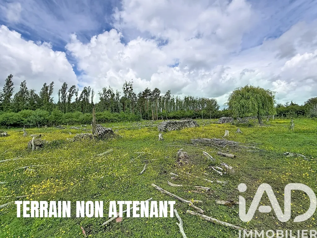 Jardin - Maison avec Dépendances et Terrain à Cheverny