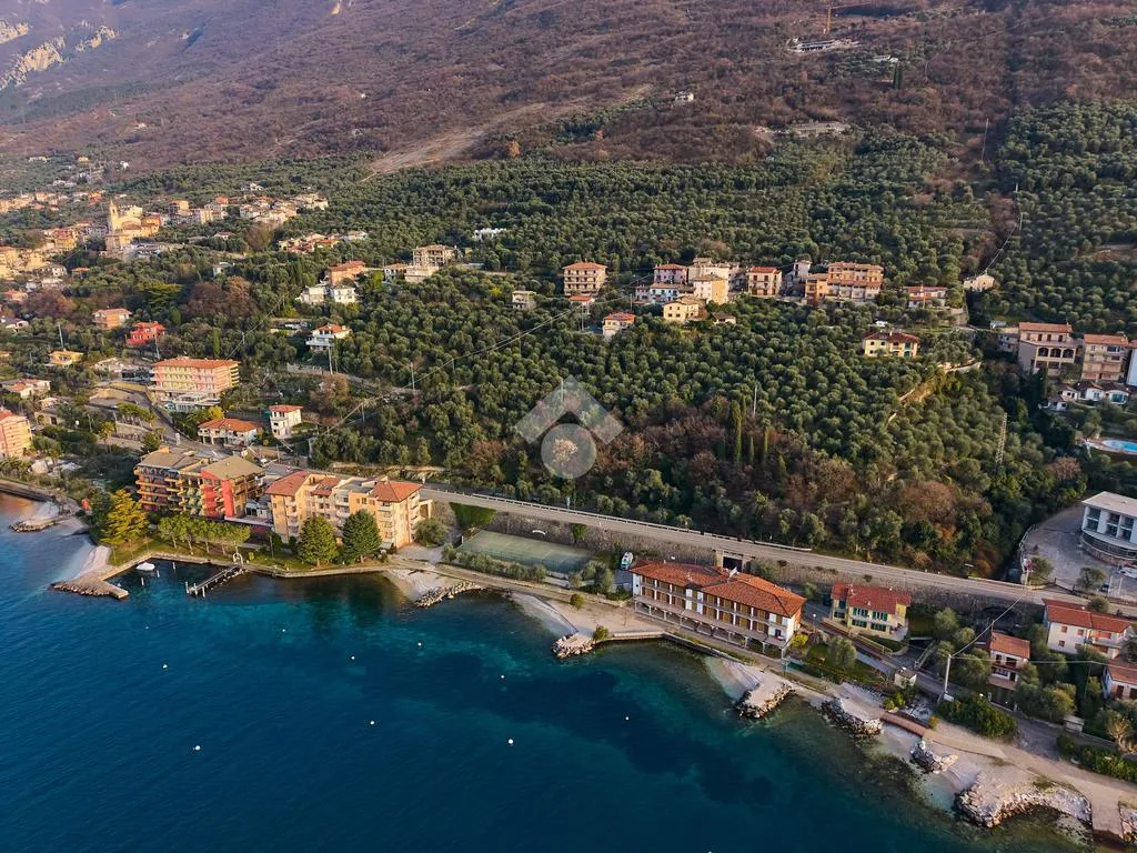 Luxury Villa with Lake View in Brenzone