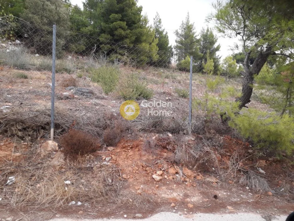 Aed - Buildable Plot with Panoramic View in Pikermi