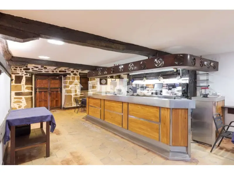 Toad - Historic Casa with Bar-Restaurant in Igeldo
