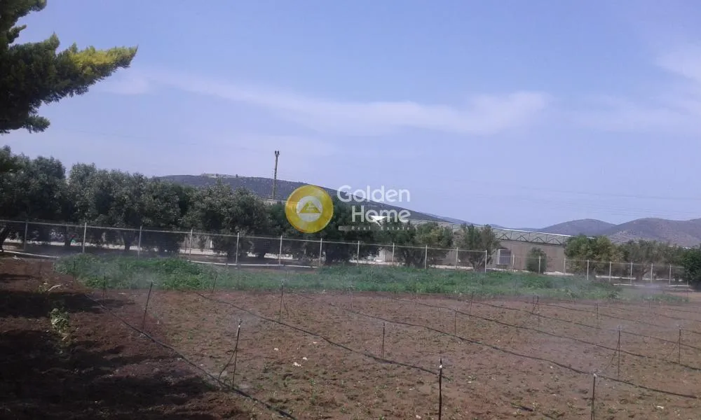 Aed - Agricultural Plot with Unrestricted View in Marathon Centre
