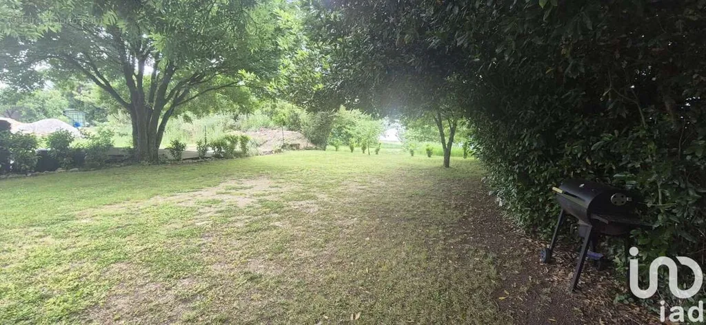 Aed - Viabilised Plot in Courant