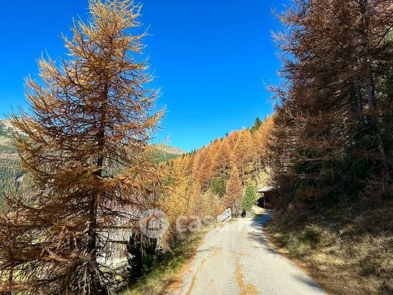 Rustic Farmhouse with Forest in Sarentino