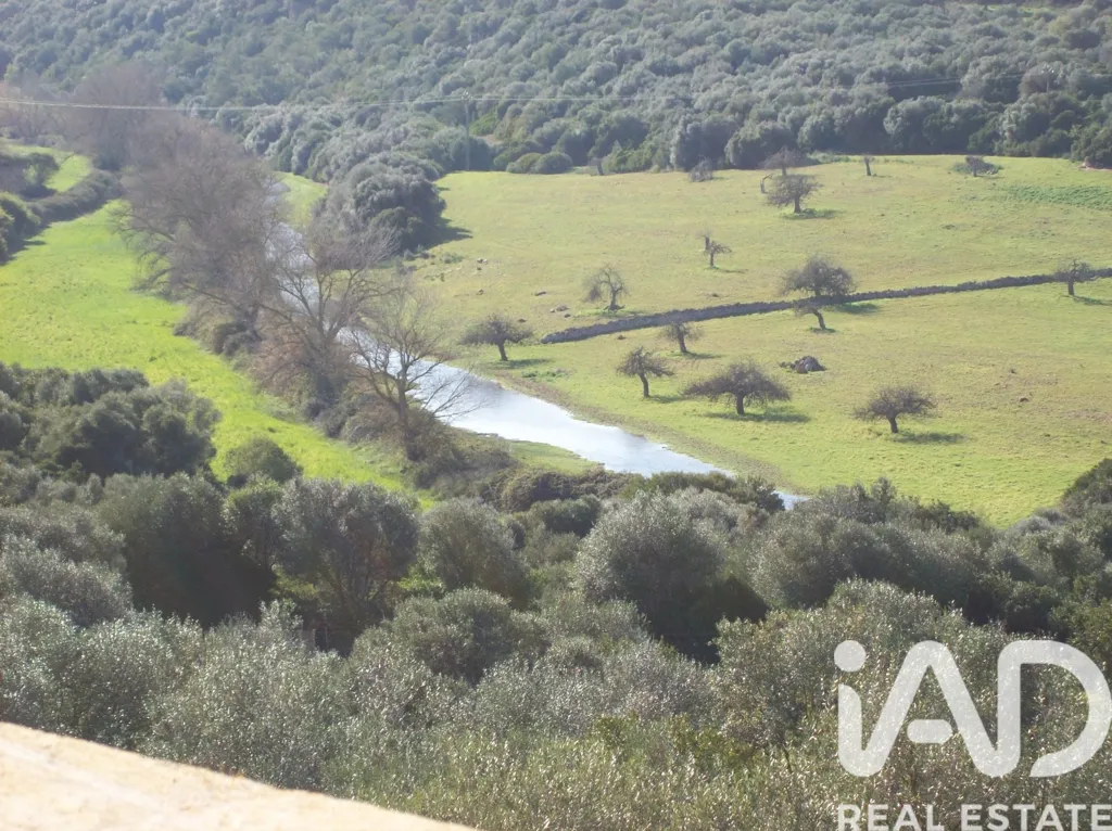 Aed - Renovated Guesthouse with Pool in Manacor