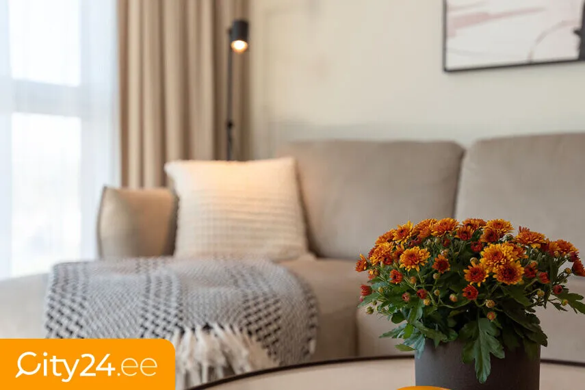 living_room