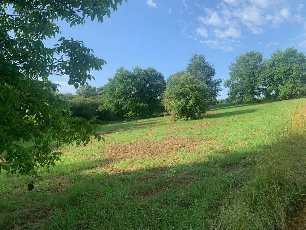 Jardin - Terrain Plat à Targon, Proche du Bourg