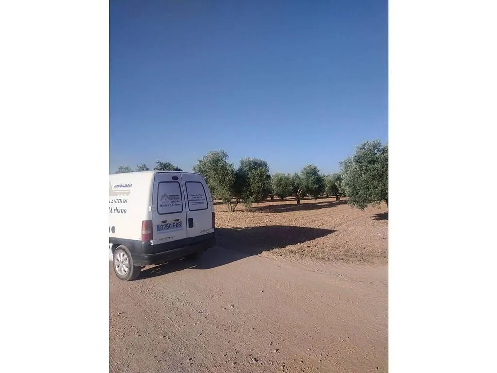 Aed - Rural House with Pool in Manzanares