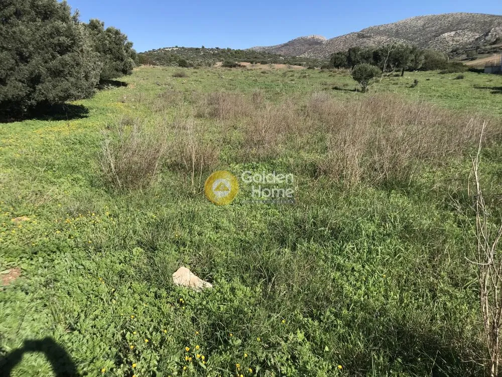 Aed - Plot with Sea View in Synteria, Keratea