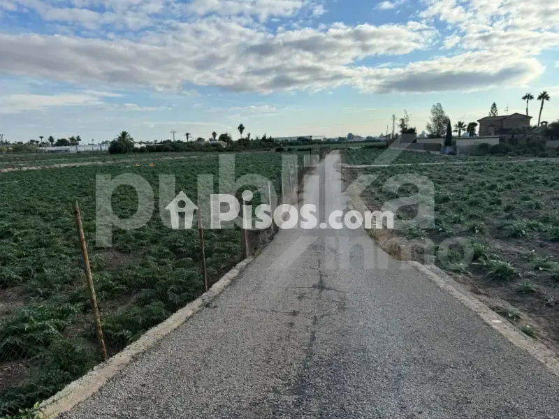 Jardin - Historic Villa with Archaeological Setting in Elche