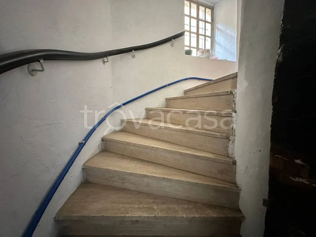 Toad - Historic House with Terraces in Giaveno Centre