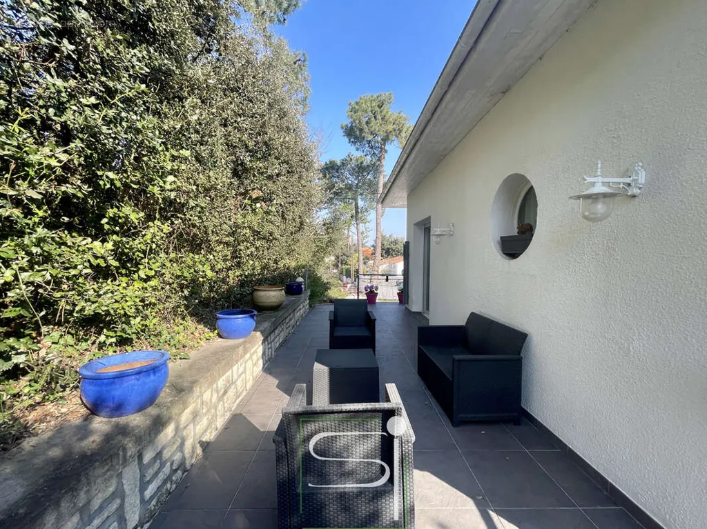 terrace_patio