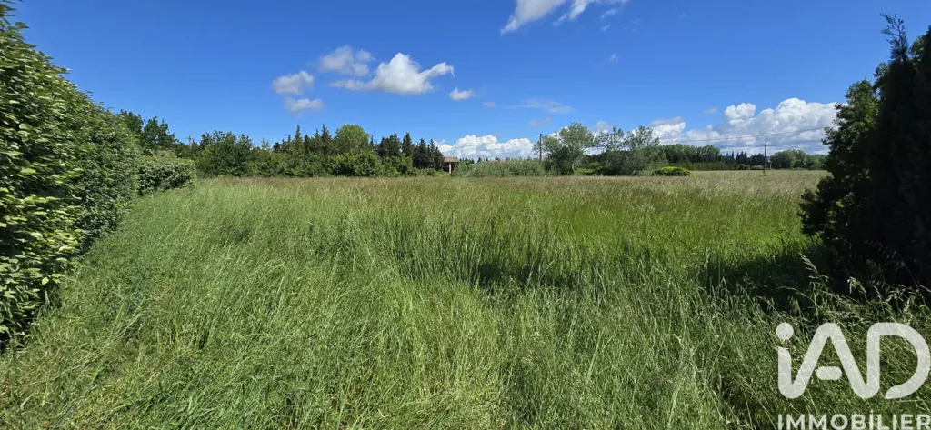 Jardin - Mas Rénové avec Piscine Potentielle à Sarrians