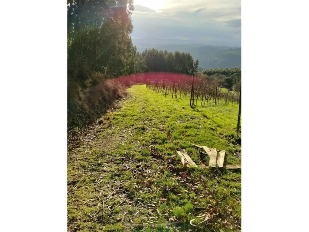 land_plot