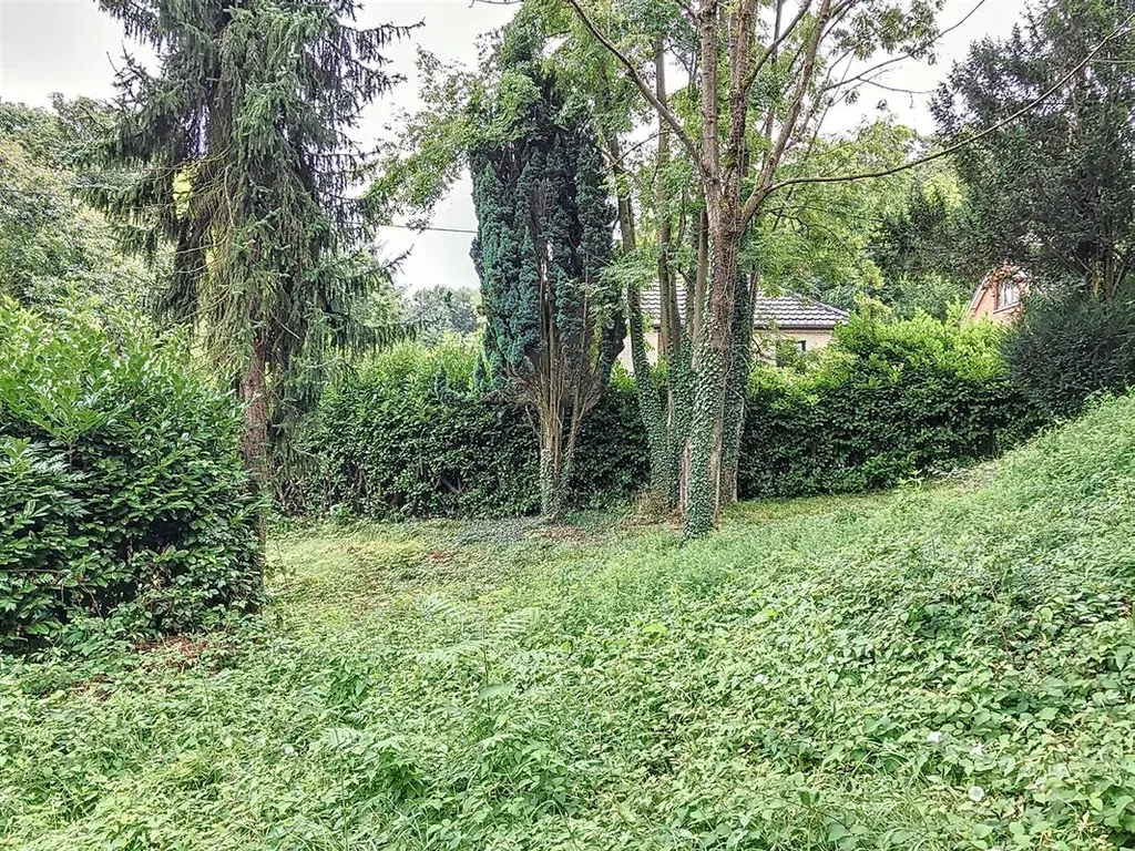 Jardin - Terrain à Bâtir en Zone d'Habitat à Morlanwelz-Mariemont