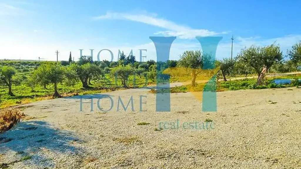 Garden - Villa with Olive Grove in Noto