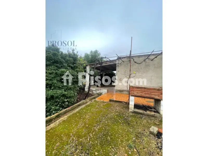 Garden - Rustic Finca with Large Garden in Madrigal
