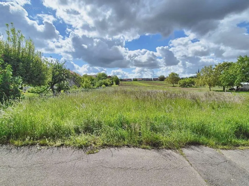 Garden - Constructible Plot with 14m Façade in Servigny
