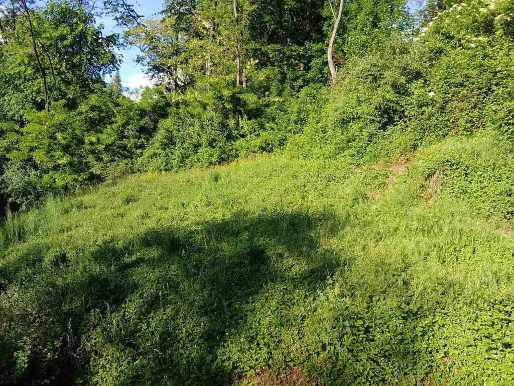 Jardin - Terrain à Bâtir à Laissaud avec Vue Sud-Ouest