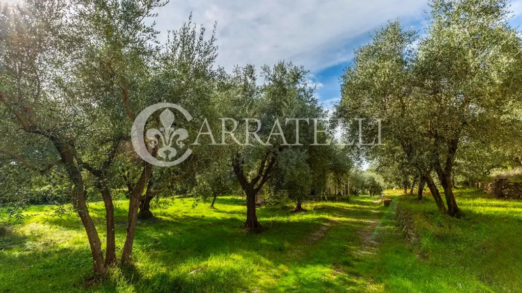 Jardin - Luxury Farmhouse with Pool in Monteriggioni
