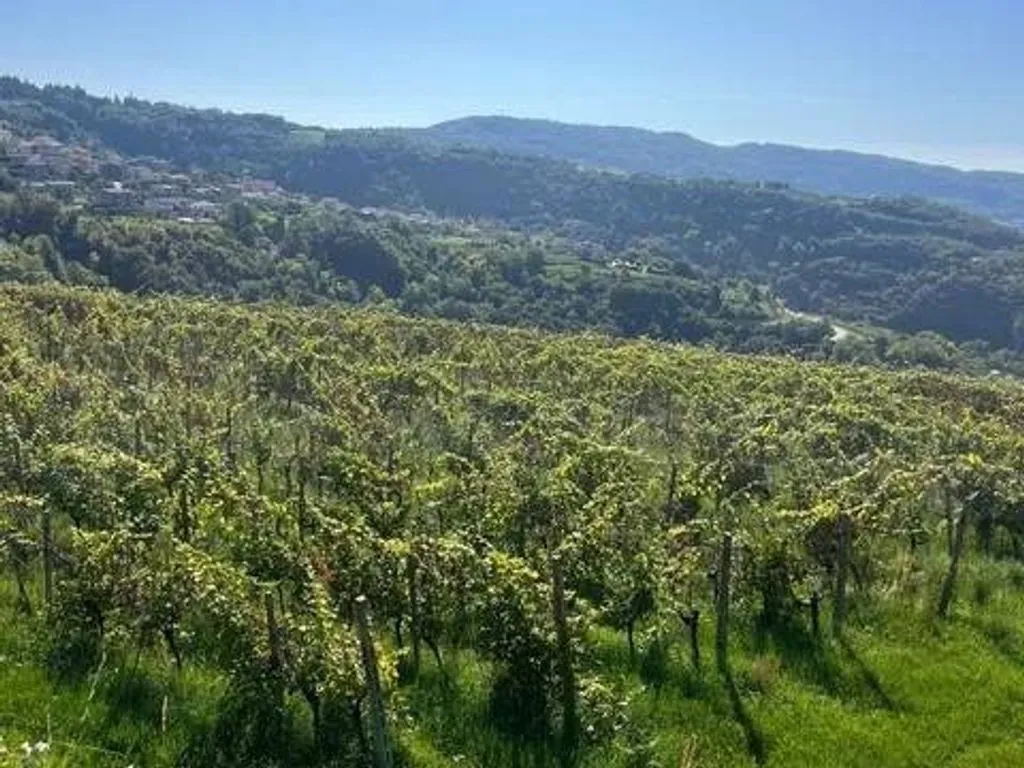 Garten - Historic Tower House with Vineyard in Negrar