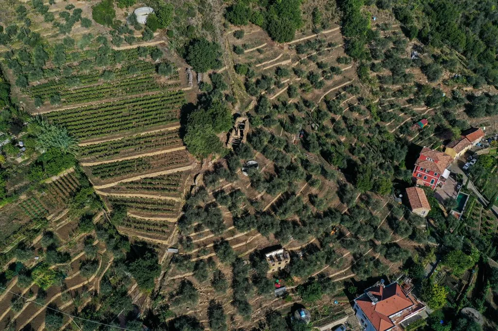 Vue aérienne - Estate with Sea View in Sanremo