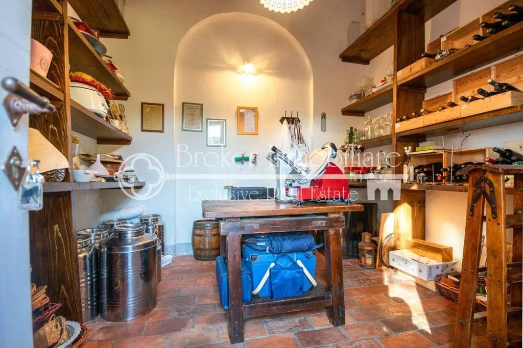 Rooms - Rustic Villa with Olive Grove in Massarosa