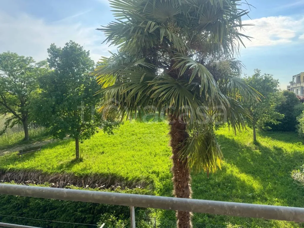 Giardino - Spacious Studio with Terrace in Ravenna