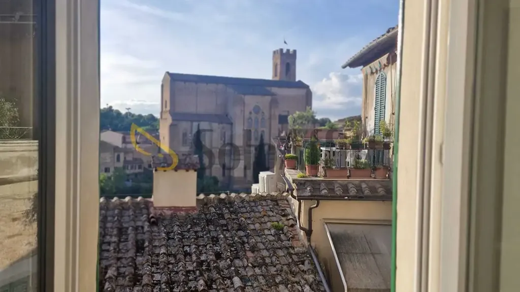 Toad - Armed Apartment in Siena's Historic Centre