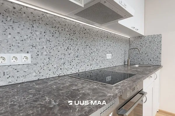 Cuisine - Renovated Flat with Garden in Saue