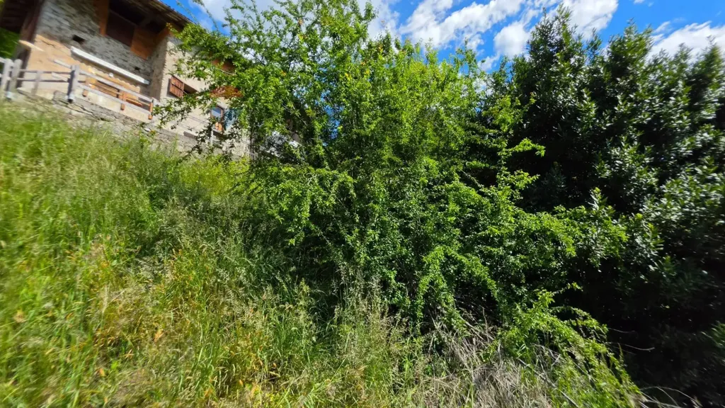 Garden - Trilocale with Garden in Darzo