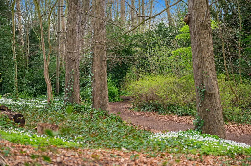 garden
