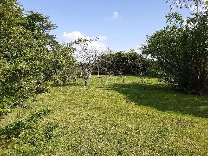 Giardino - Rustic Property with 5,000m² Land in Quiet Village