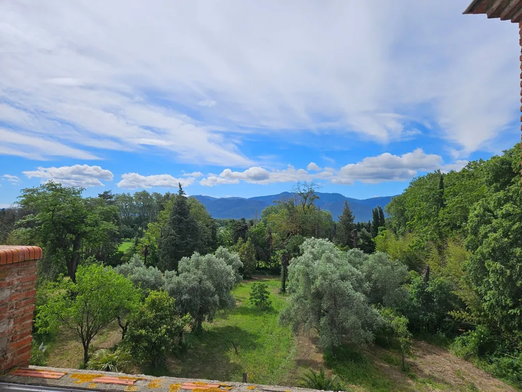 Terrasse - Manoir avec Parc de 5 Hectares près de Perpignan