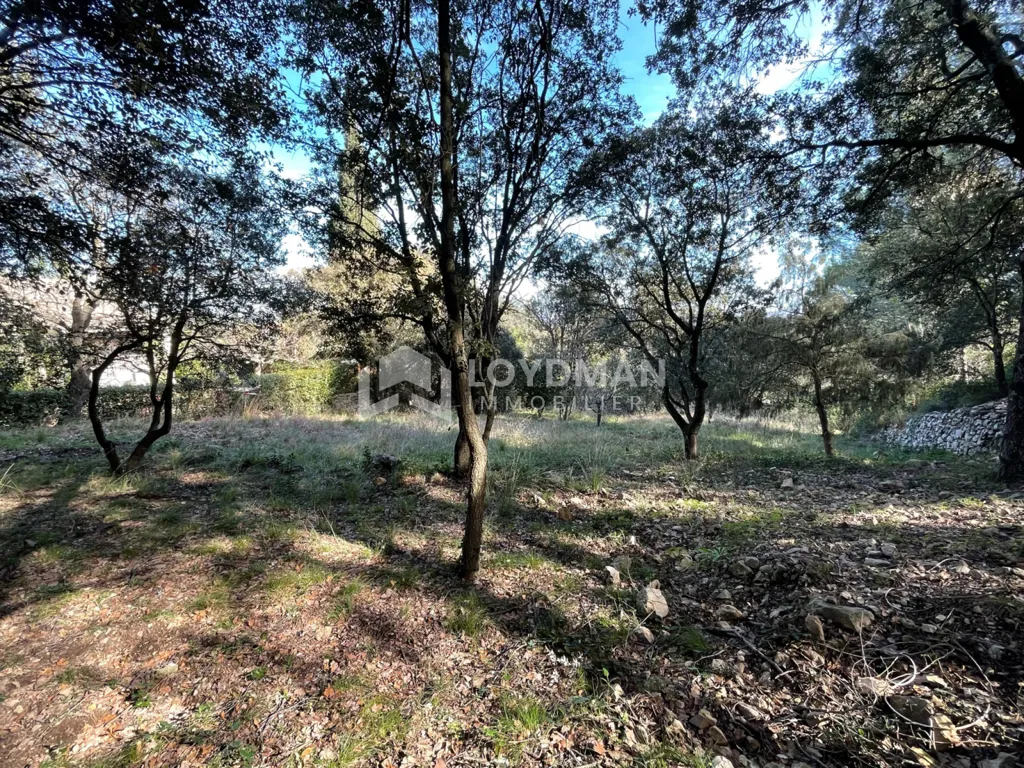 Aed - Viabilised Plot with Views in Murviel-lès-Montpellier
