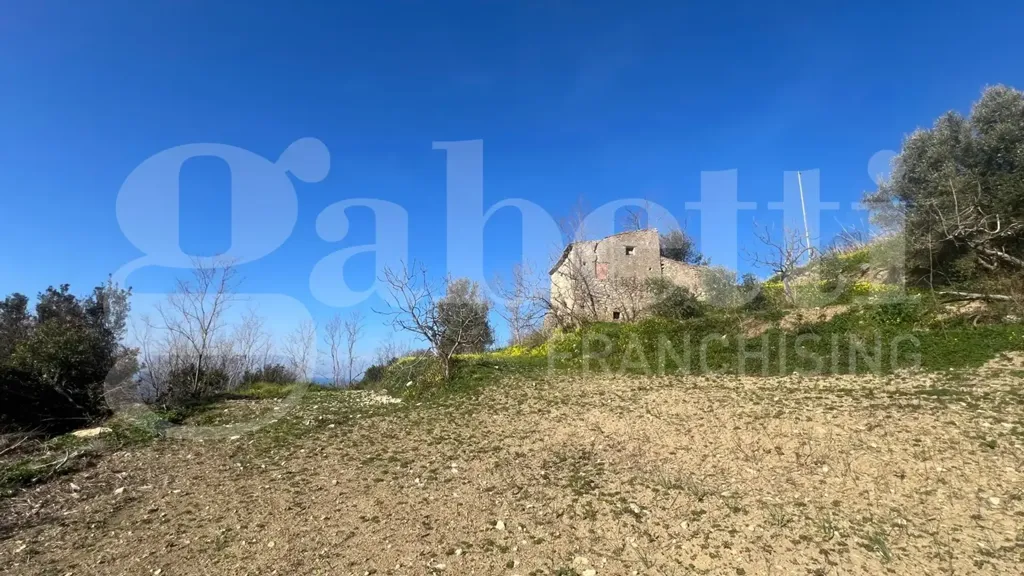 Giardino - Rustic Cielo-Terra in Falconara Albanese