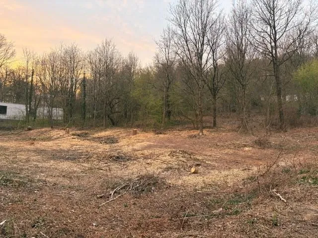 Jardin - Terrain à Bâtir au Calme à Wépion