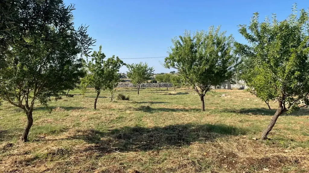 land_plot