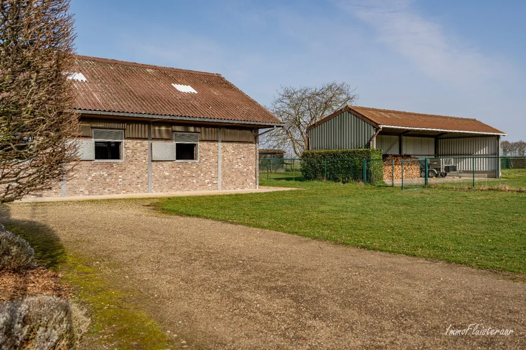 Extérieur - Maison avec Écuries et Piste Extérieure à Bree